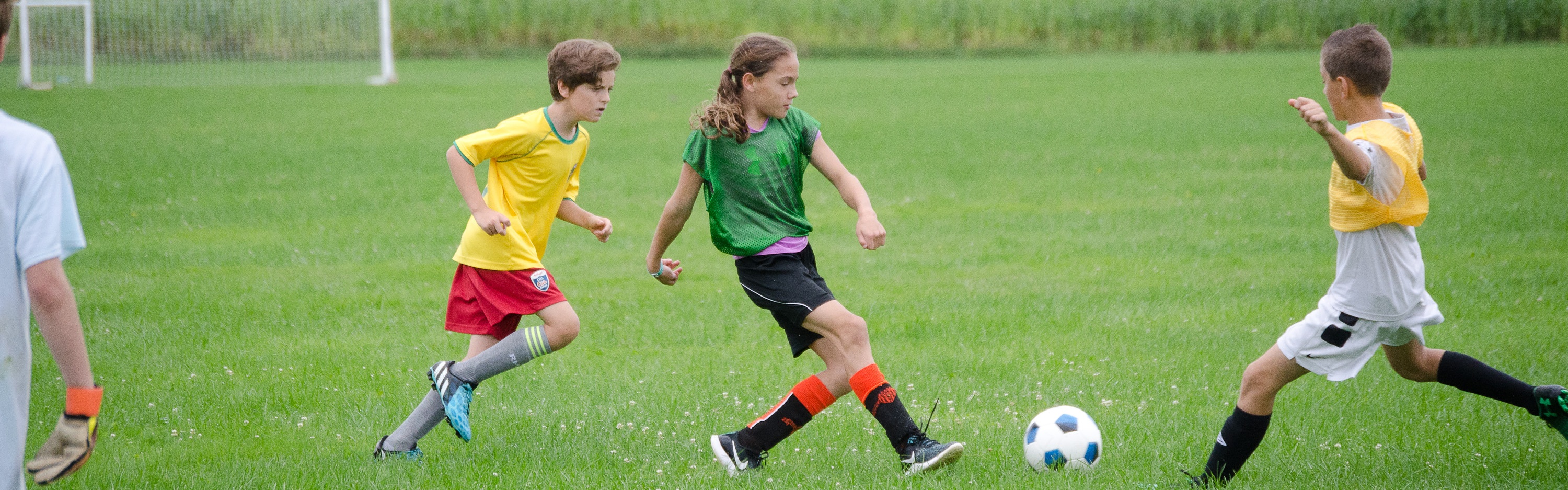 2024 Sports Camps | The Clark Sports Center